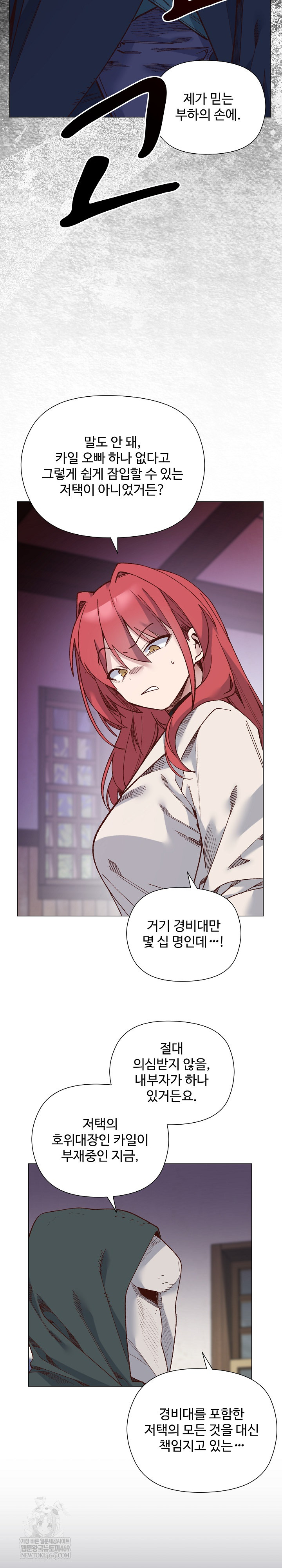 I Will Protect the Lady Raw 13
