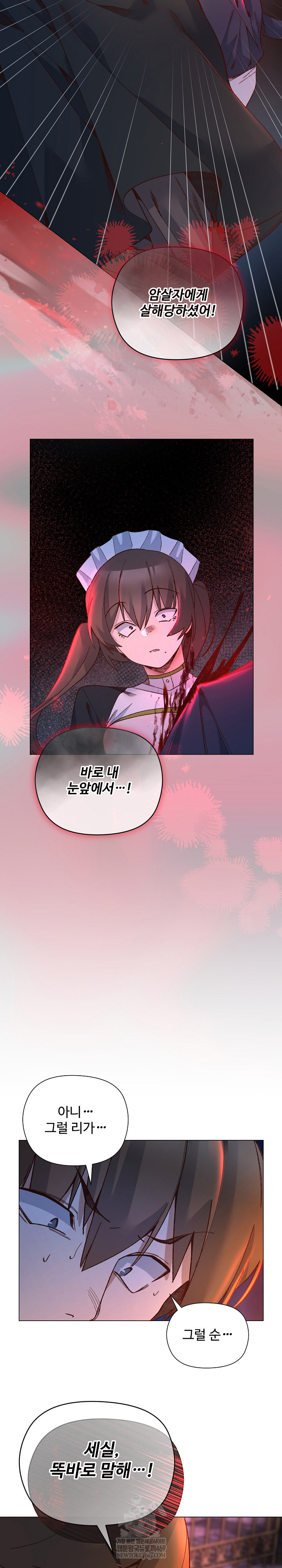 I Will Protect the Lady Raw 11