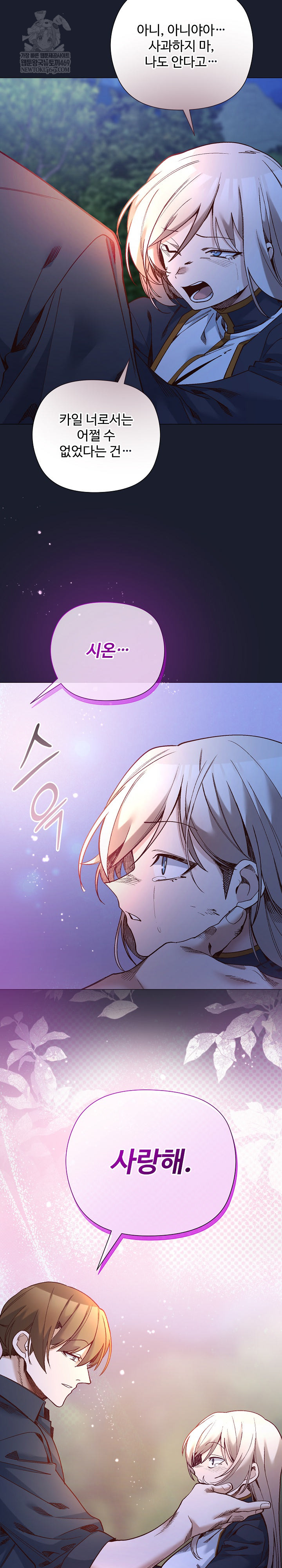 I Will Protect the Lady Raw 21