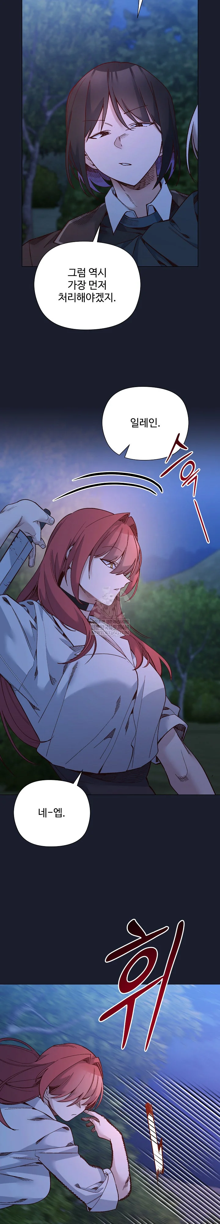I Will Protect the Lady Raw 5