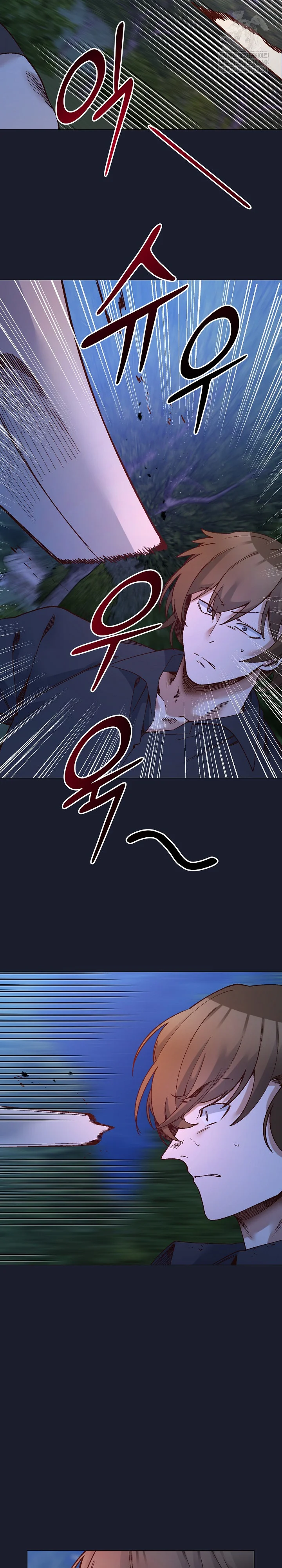 I Will Protect the Lady Raw 6