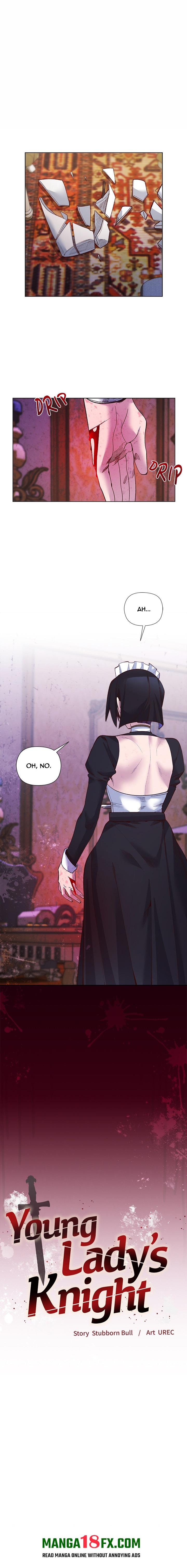I Will Protect the Lady 1