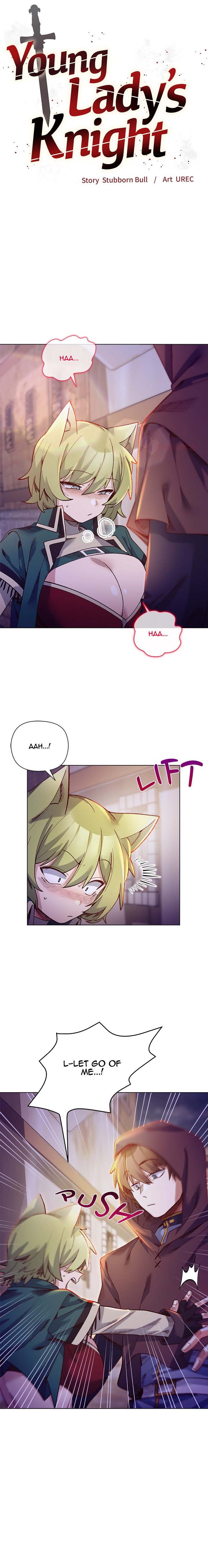 I Will Protect the Lady 2
