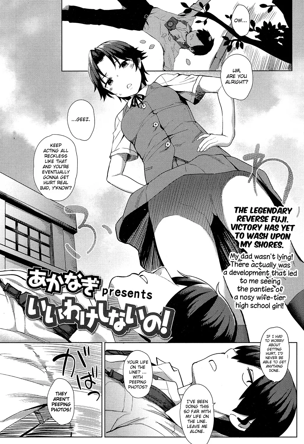 Iiwake Shinai no! 2