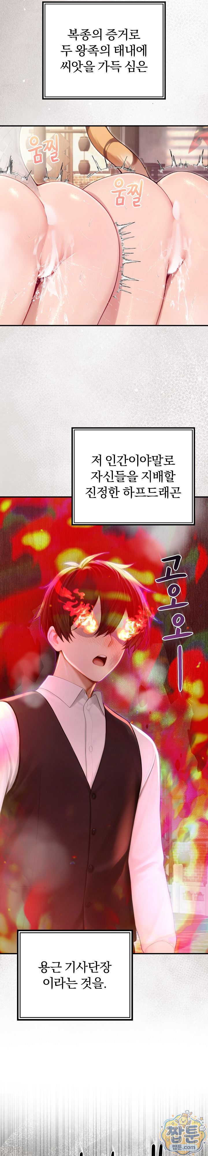 Isekai Dragondick Knight Commander Raw 12