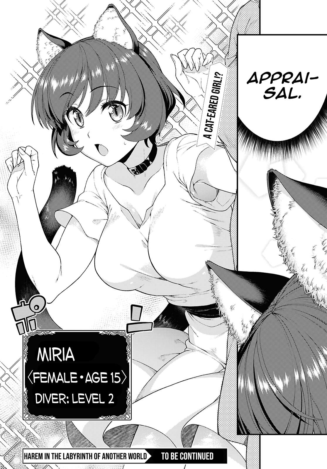 Isekai Meikyuu de Harem wo 17
