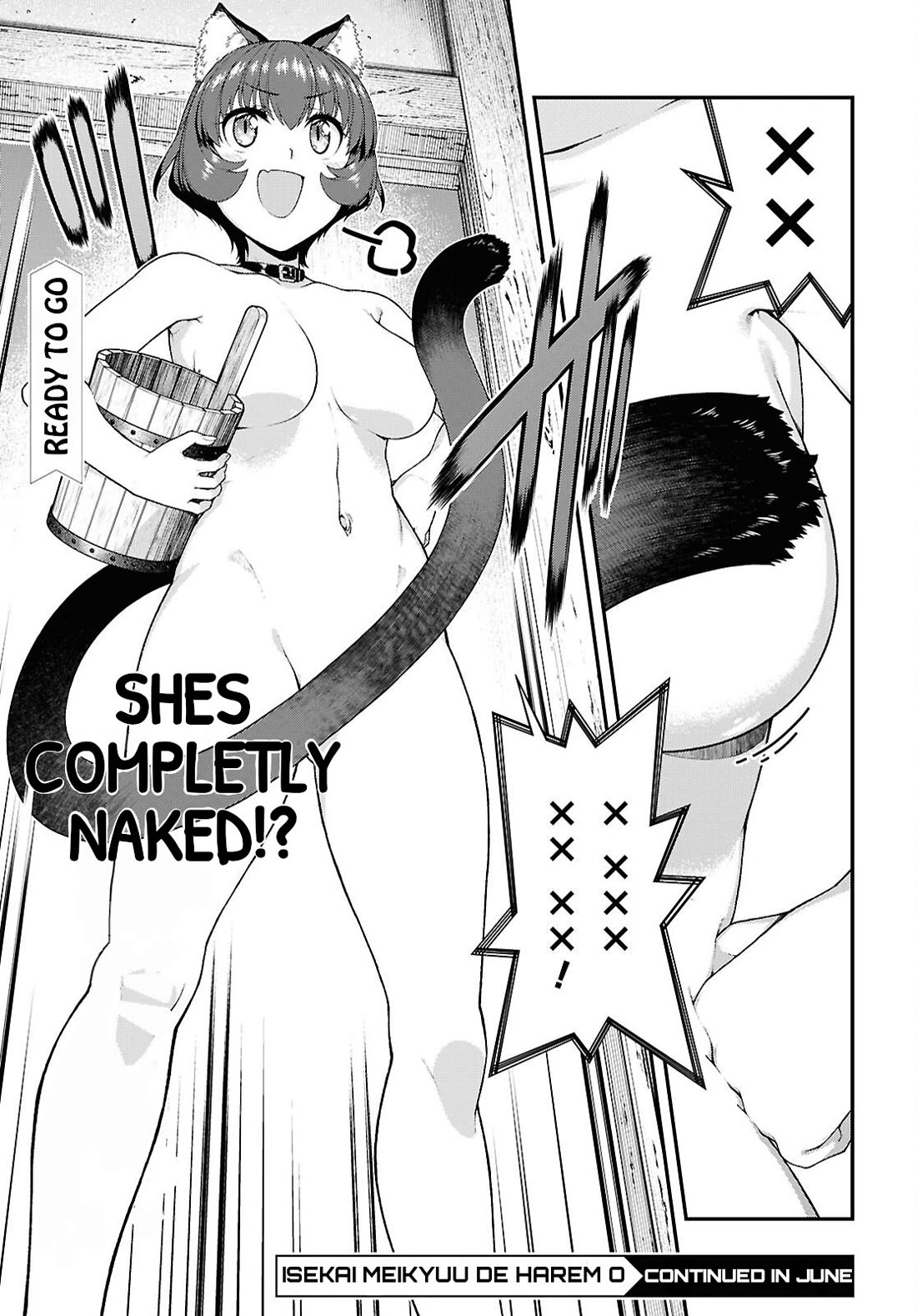 Isekai Meikyuu de Harem wo 14