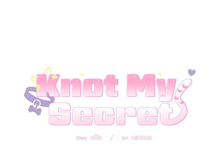 Knot My Secret 1