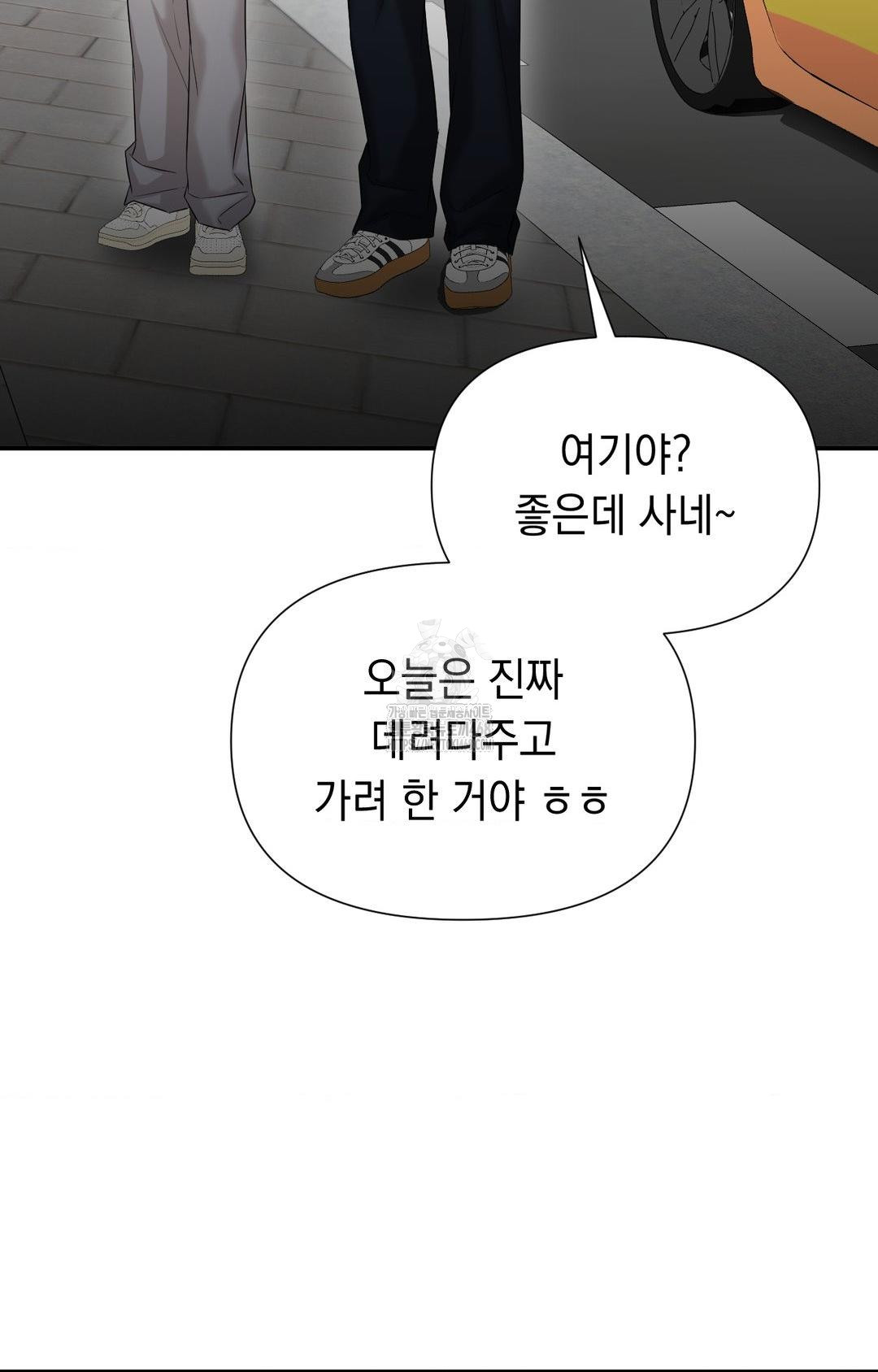 Lets Go For A Shampoo Raw 35