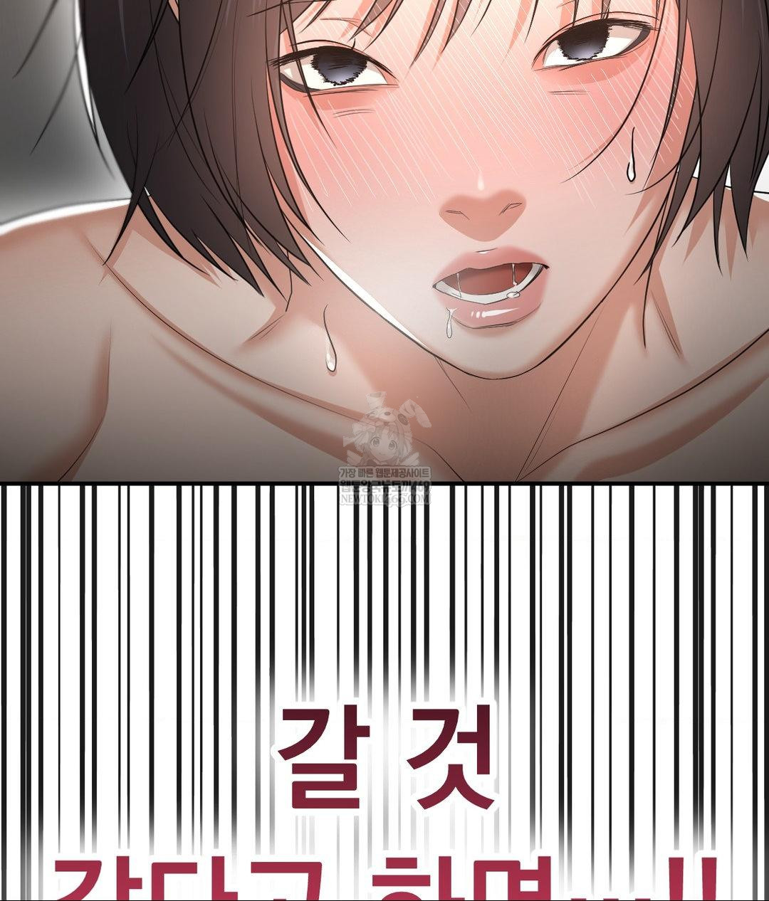 Lets Go For A Shampoo Raw 92