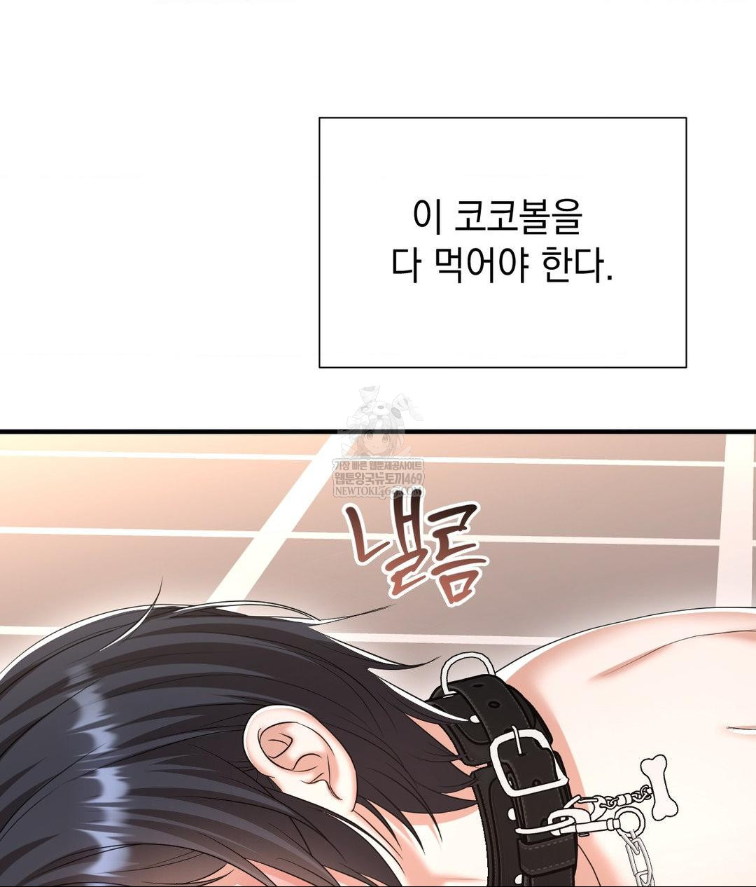 Lets Go For A Shampoo Raw 101