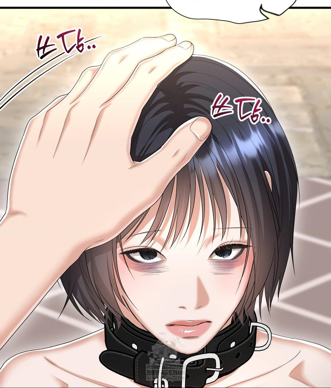 Lets Go For A Shampoo Raw 114