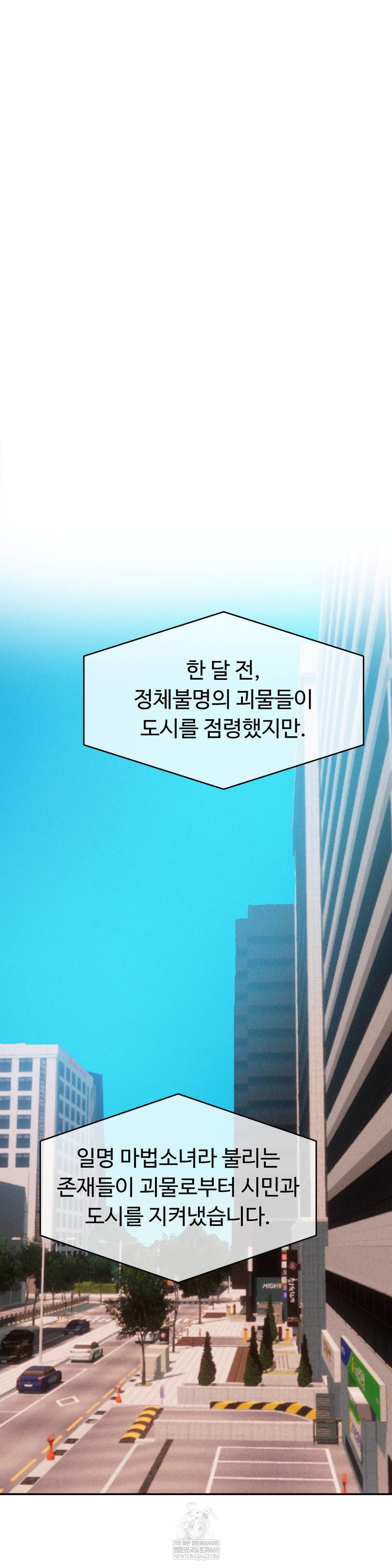 Magical Girl Service Raw 11