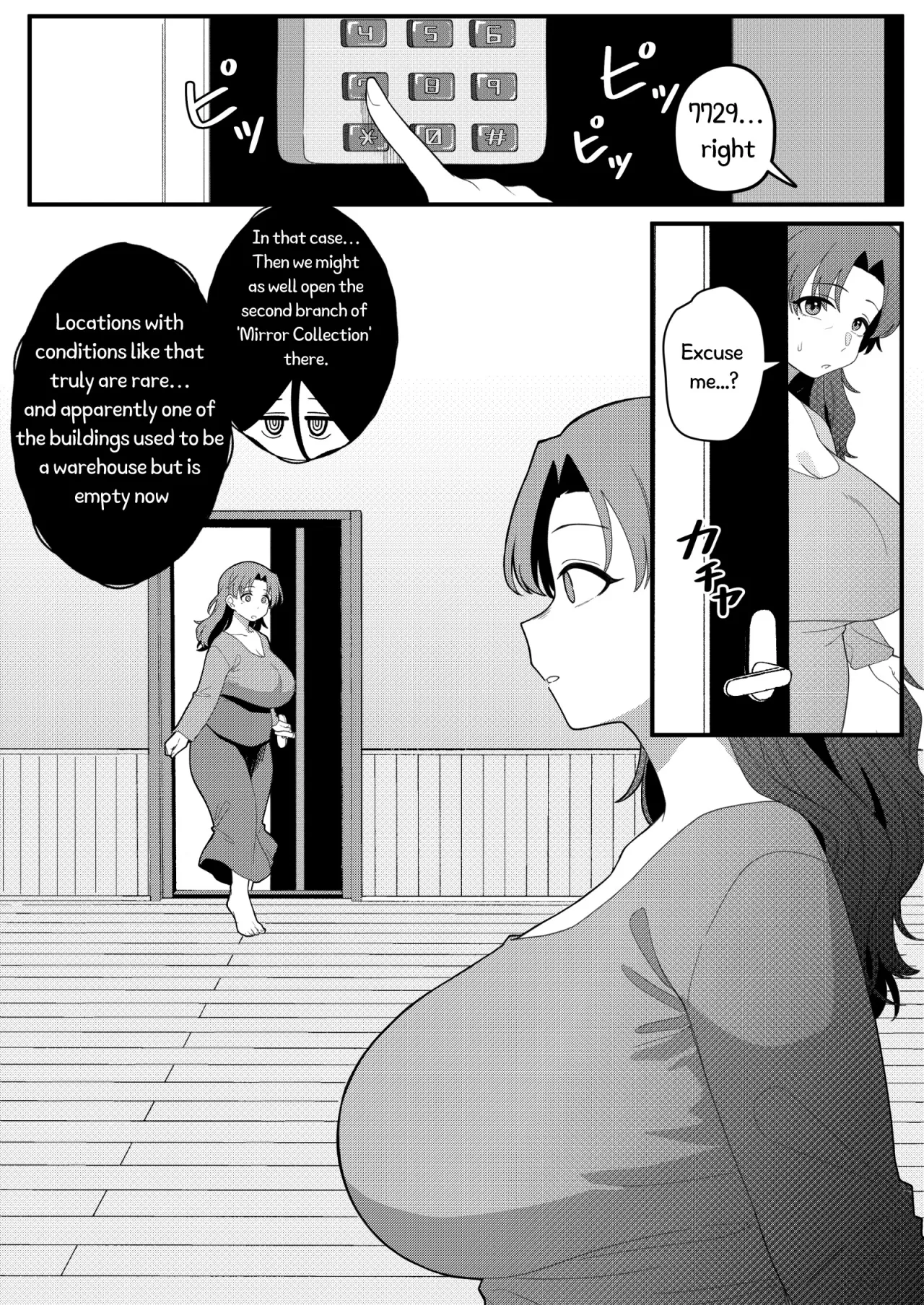 Mirror Collection Vol.11 66