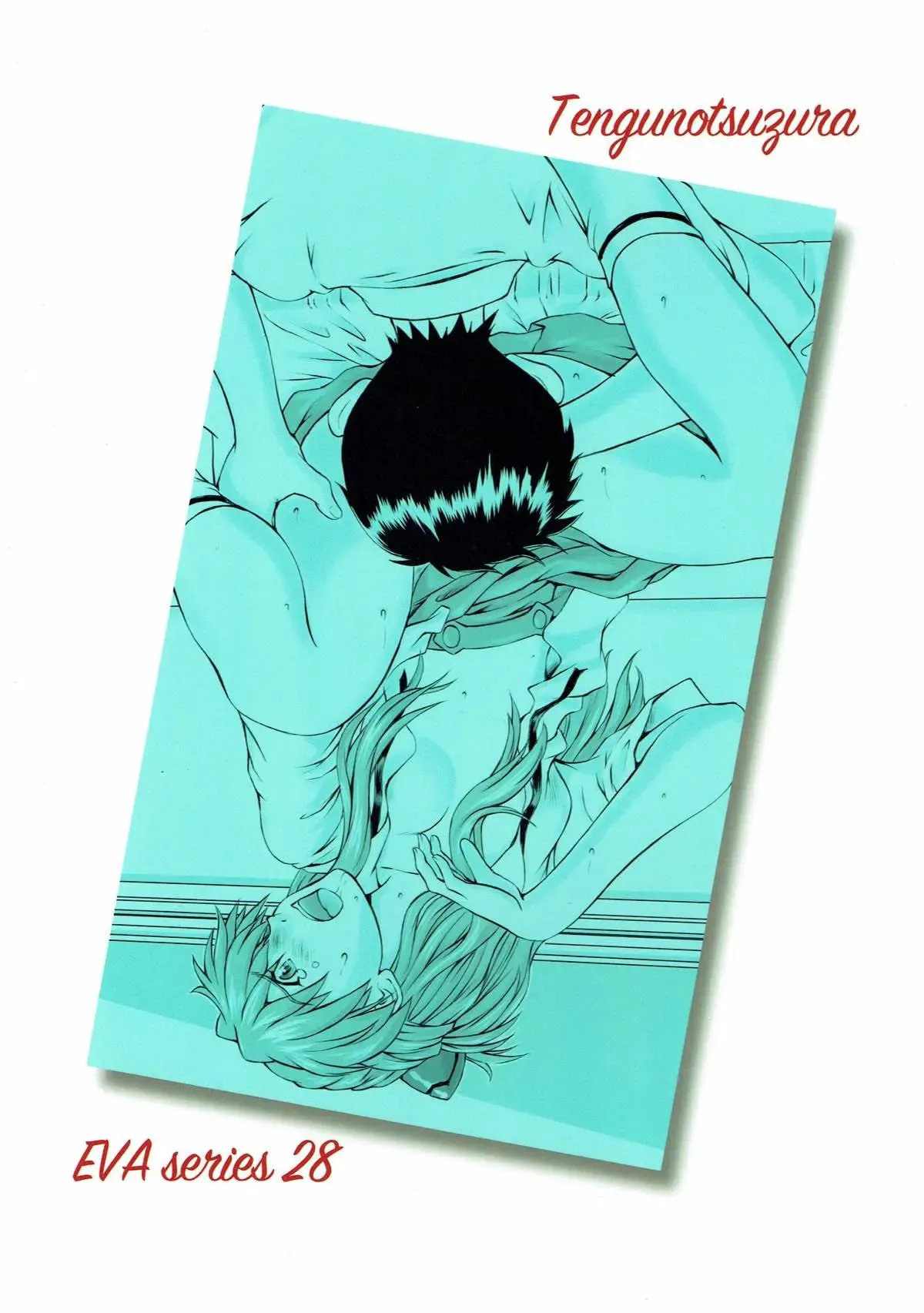 MISSEND 29