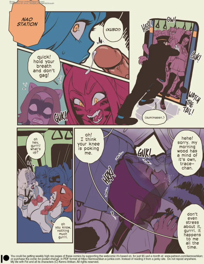 My Life With Fel – The Futa Train 12