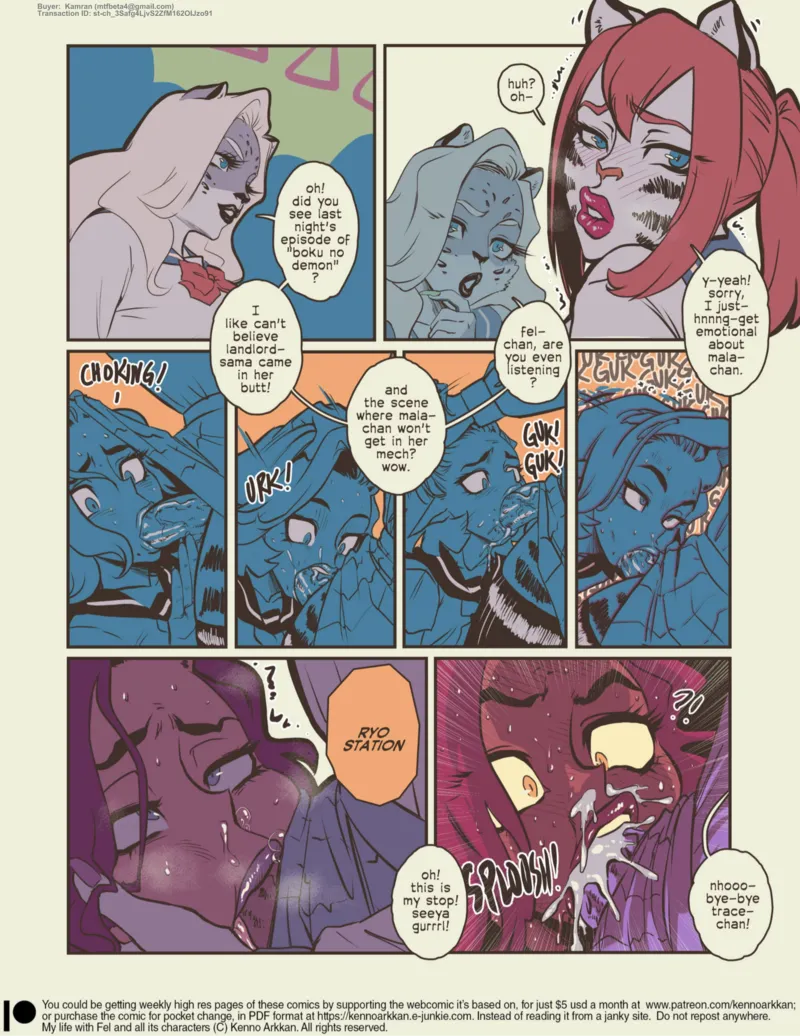 My Life With Fel – The Futa Train 13