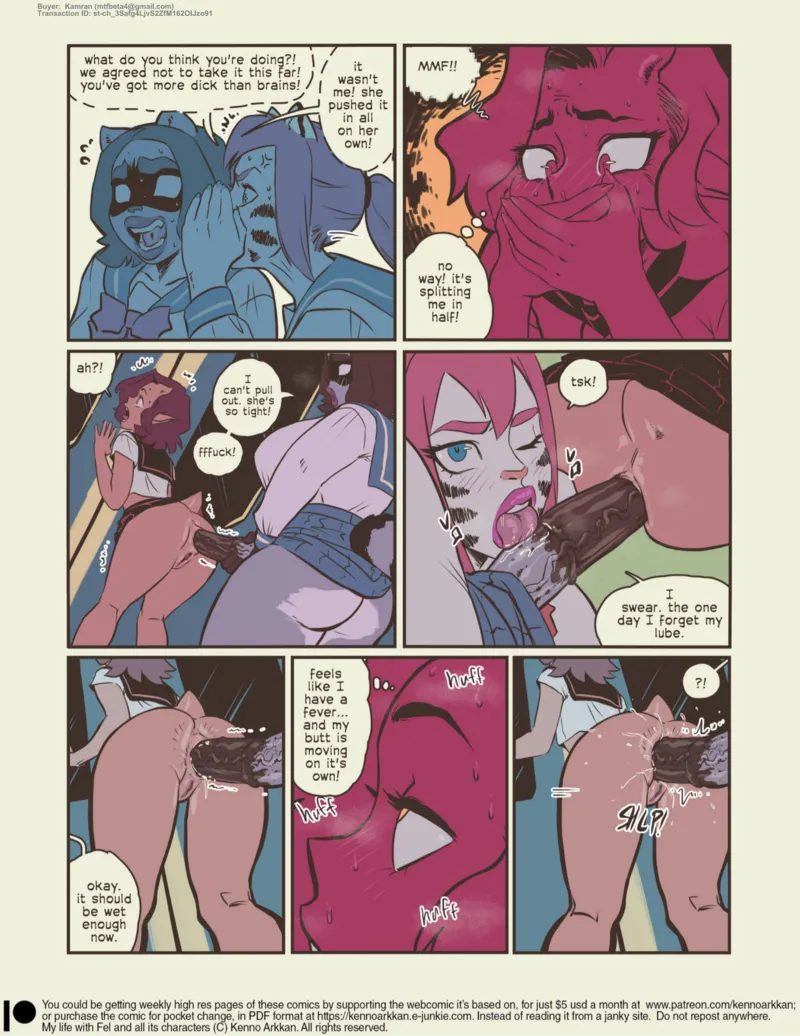 My Life With Fel – The Futa Train 16
