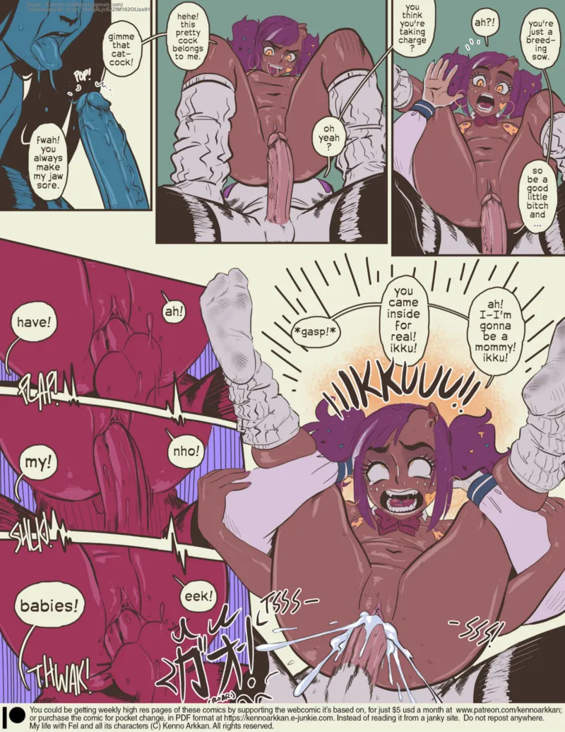 My Life With Fel – The Futa Train 37