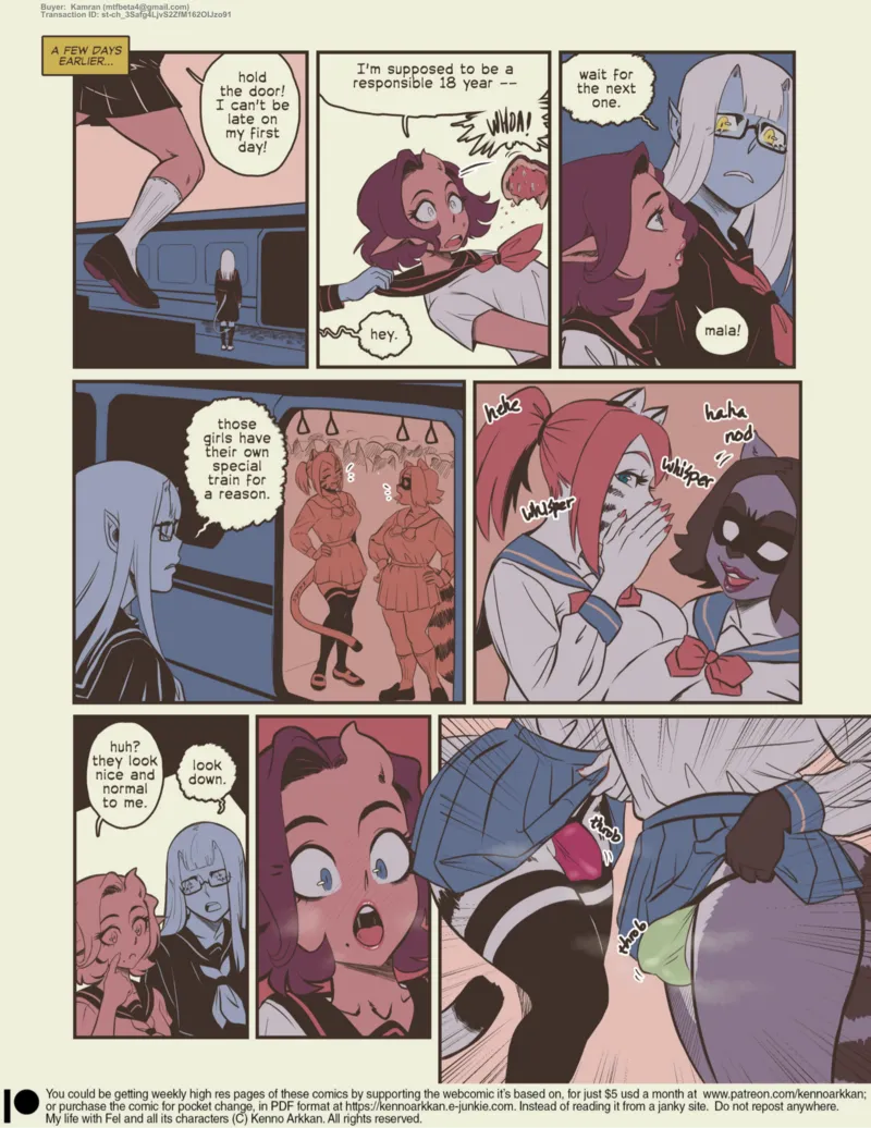 My Life With Fel – The Futa Train 5