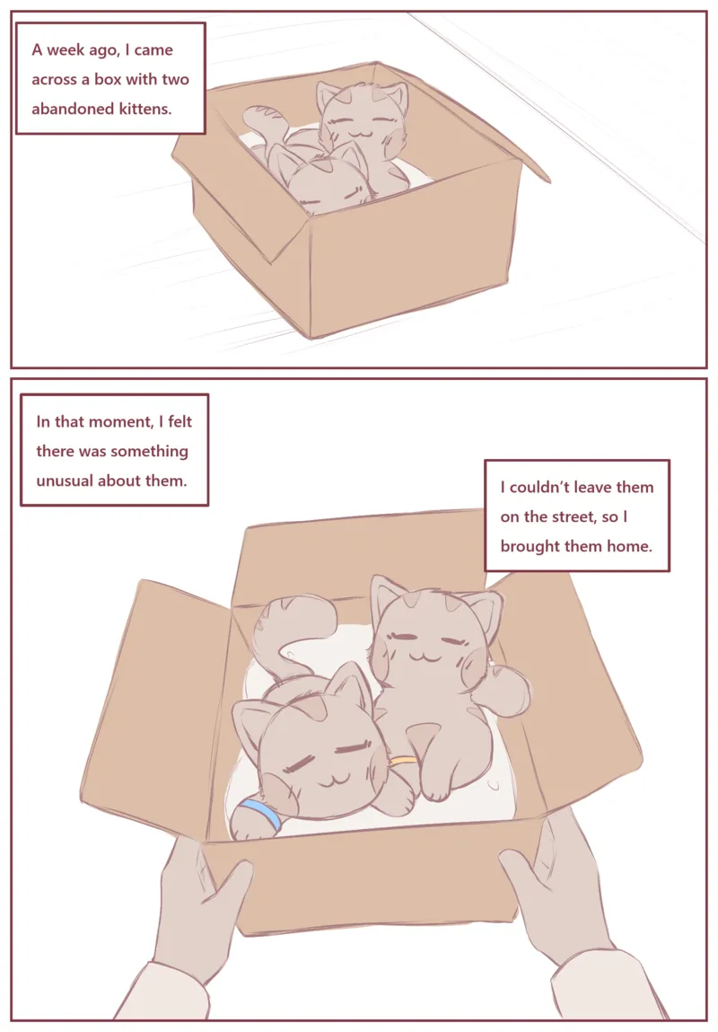 My Submissive Little Kitties 2
