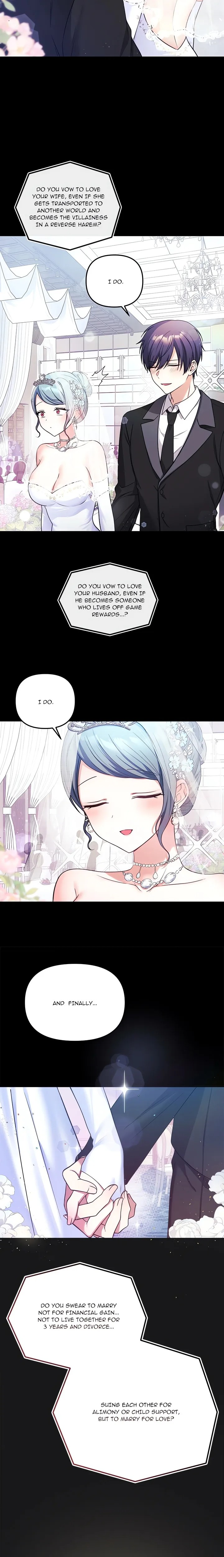 My Wife is a VTuber 5