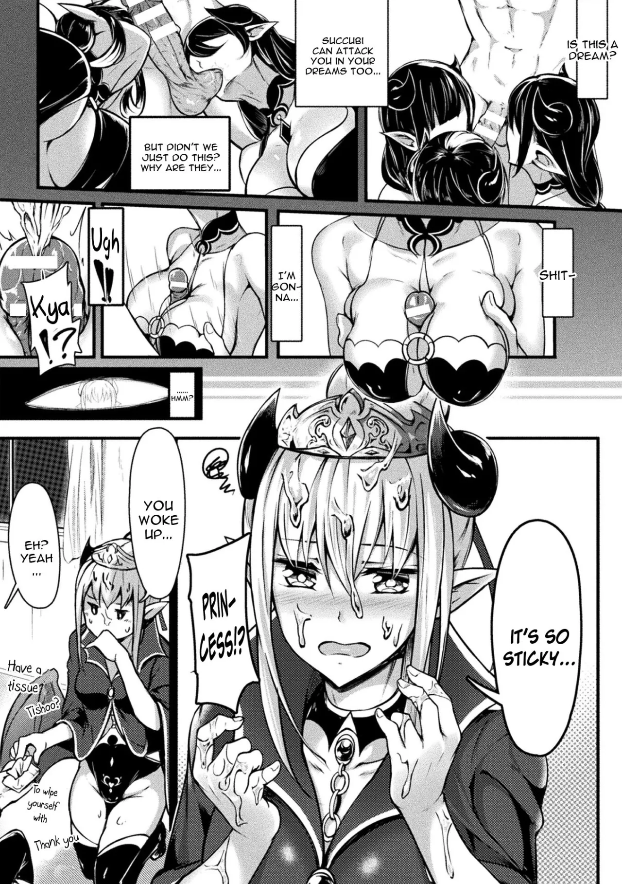 Neet Meets Princess 12