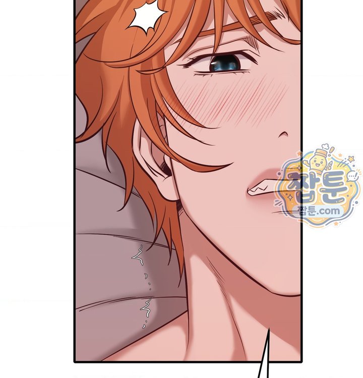 New Town Mr. XX Raw 116