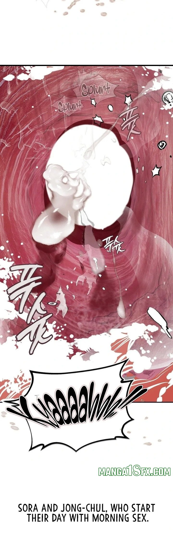 Observation Diary 17
