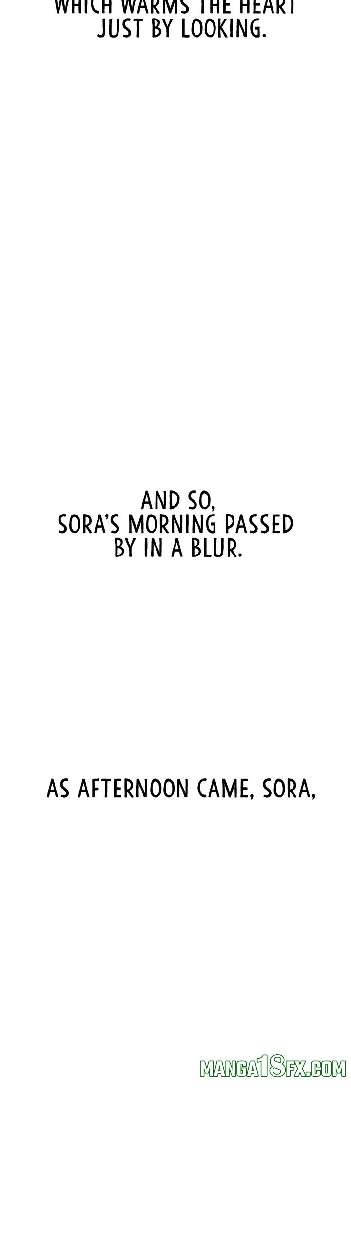 Observation Diary 23