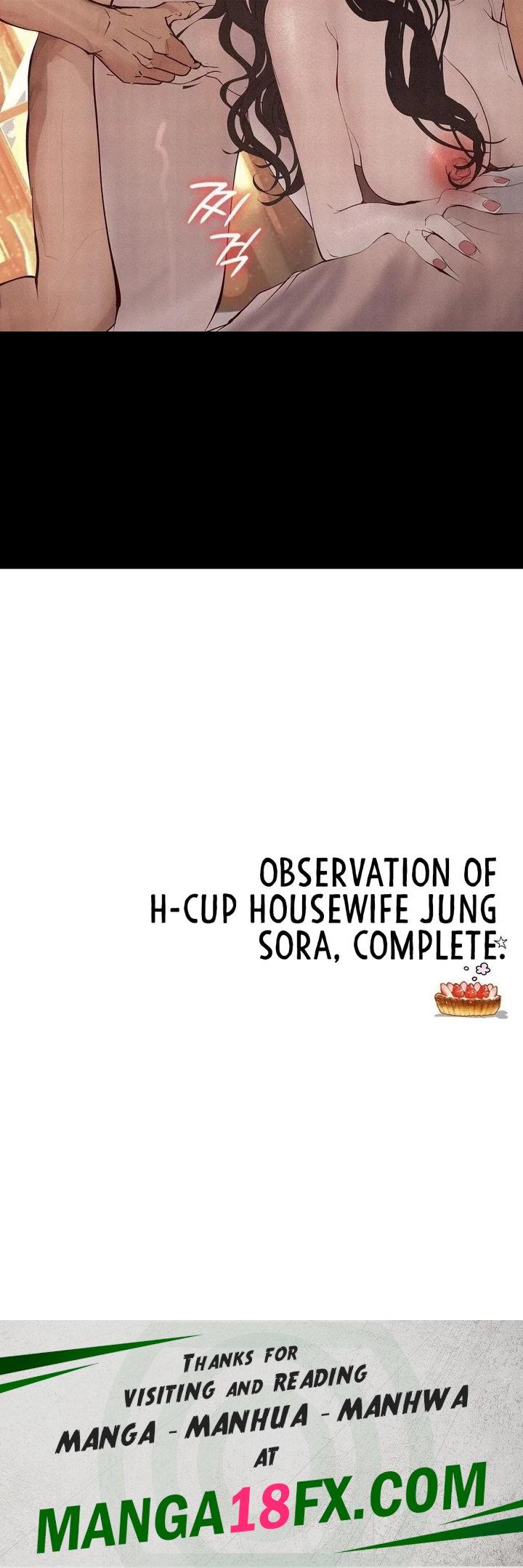 Observation Diary 43