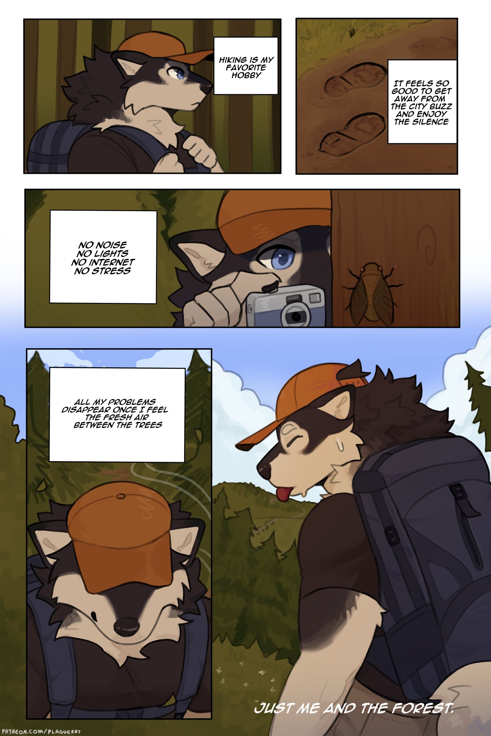 On the trail (Ongoing) 2