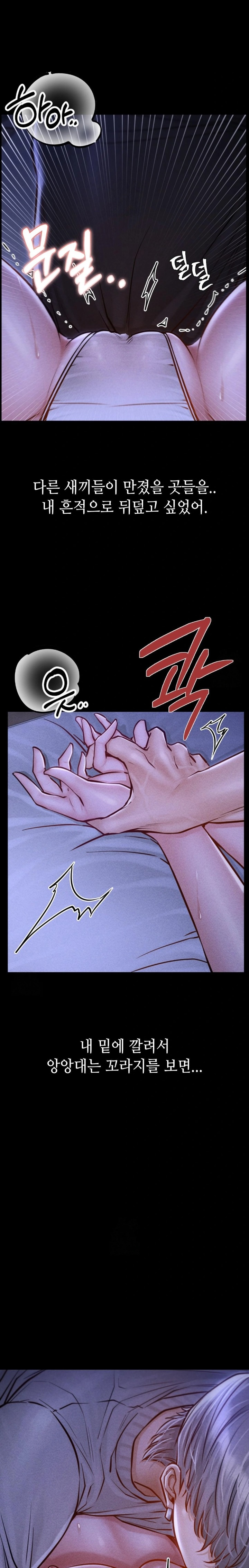 Paradise Villa Raw 14