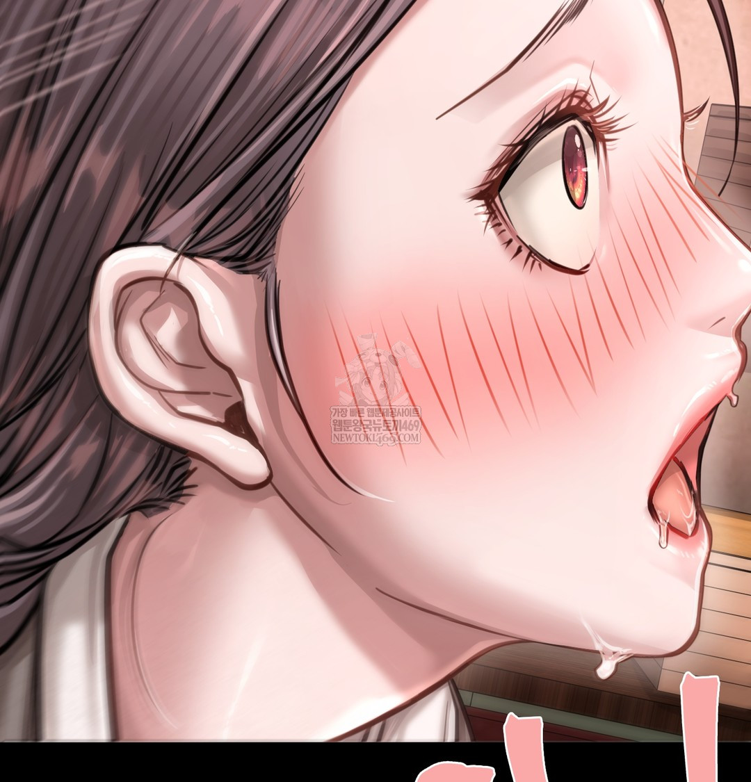 Paradise Villa Raw 110