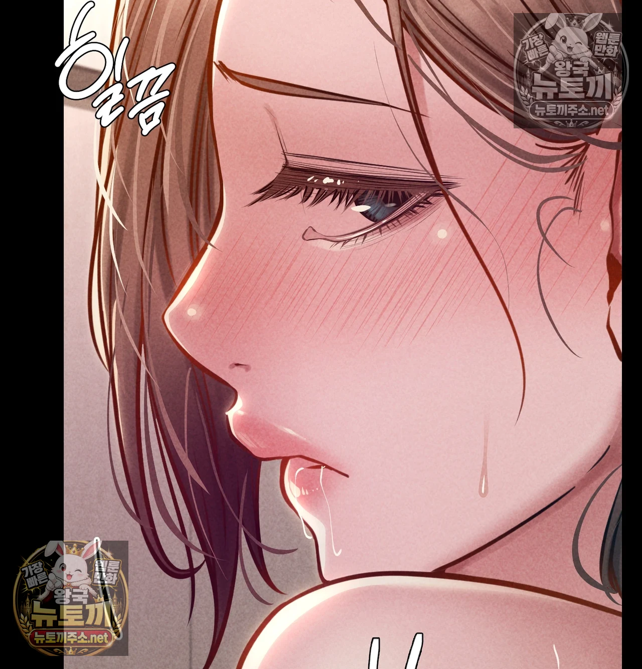 Paradise Villa Raw 44