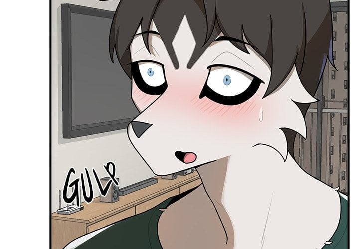 Paws on Campus 2