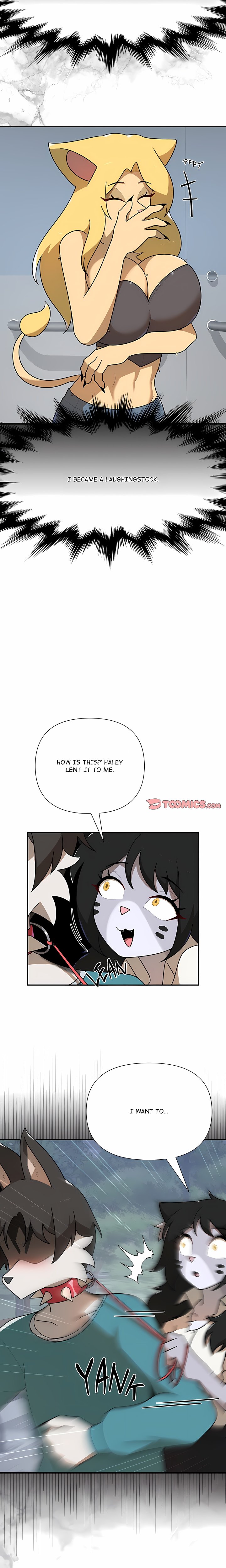 Paws on Campus 2