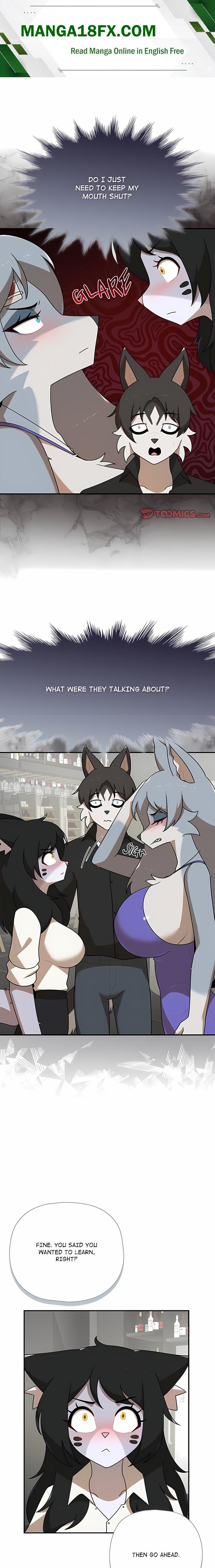 Paws on Campus 1