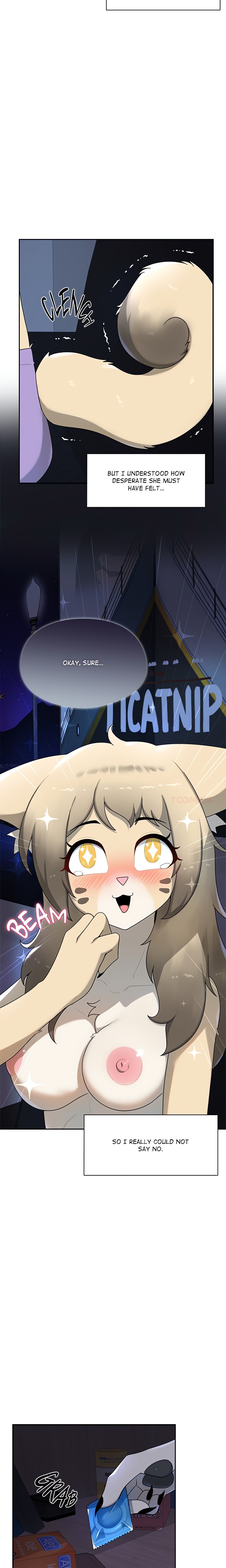 Paws on Campus 2