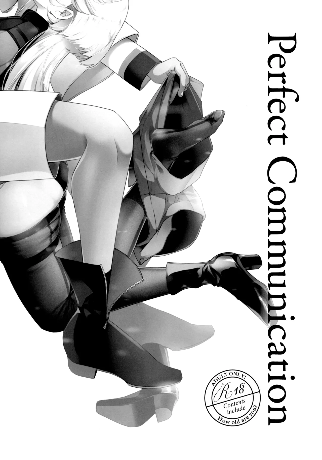 Perfect Communication 2