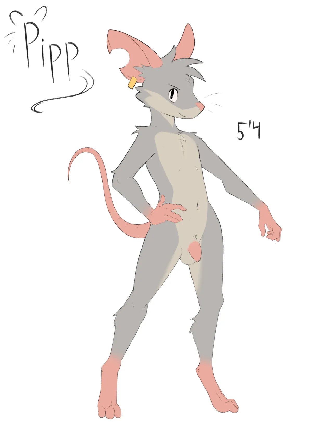 Pipp the Mouse Thief 2
