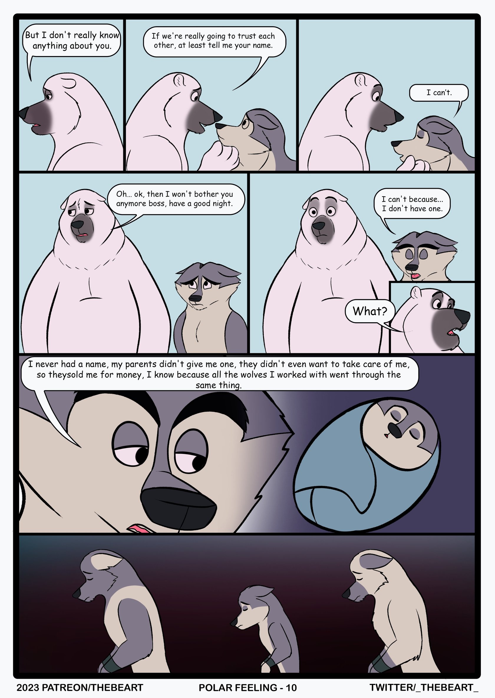 Polar Feeling | thebeart 10