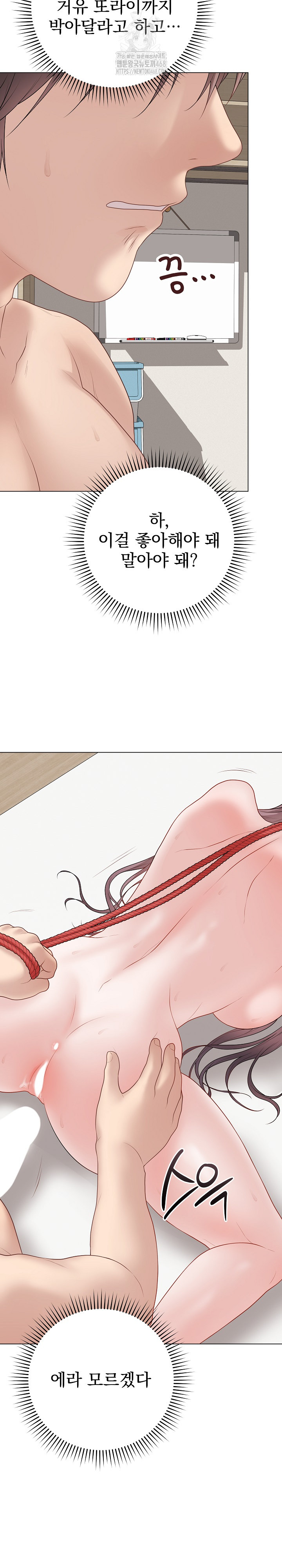Private Academy Raw 32
