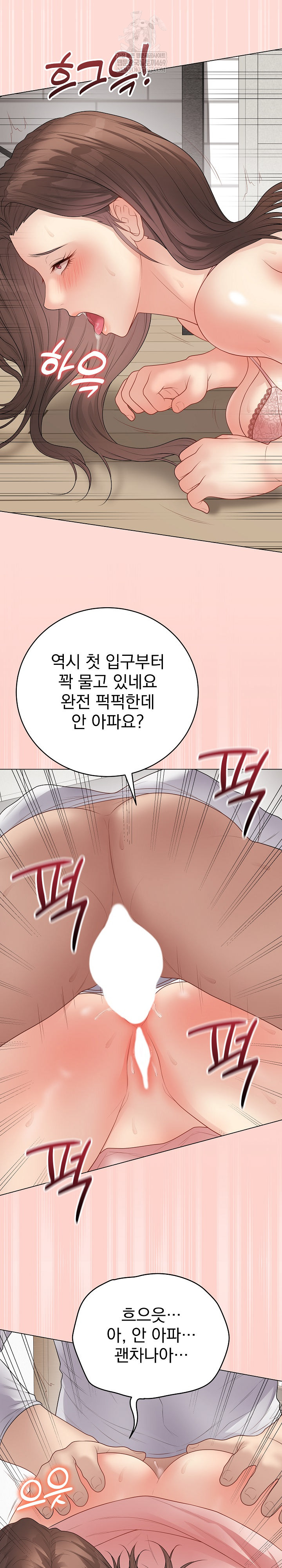 Private Academy Raw 33