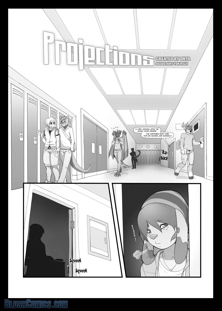 Projections 1
