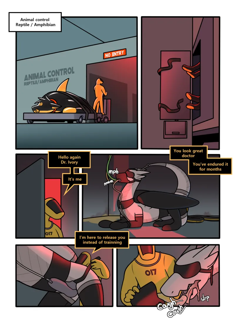 Qundium 55