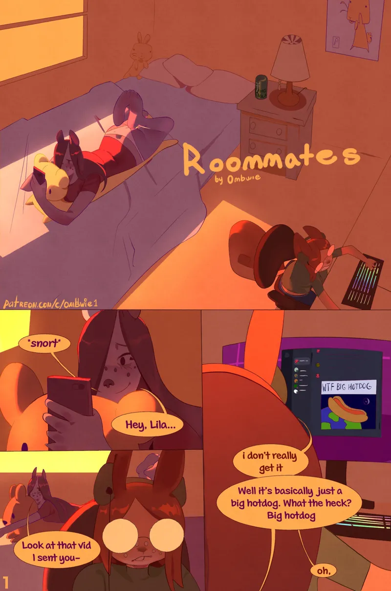 Roomates 1