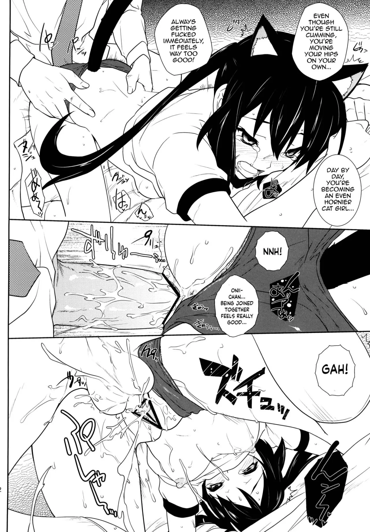 Sakura Syndrome 13