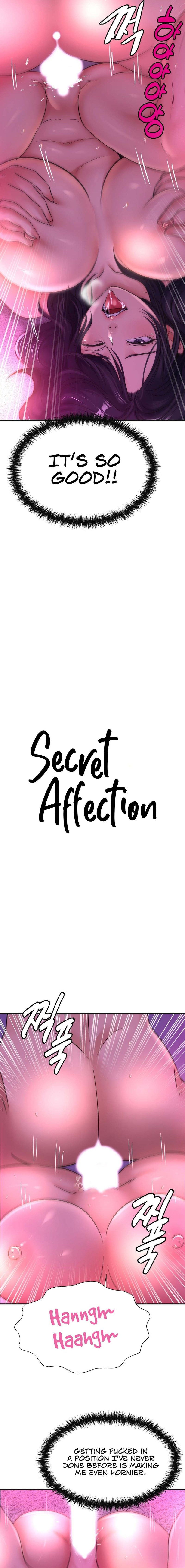 Secret Affection 2