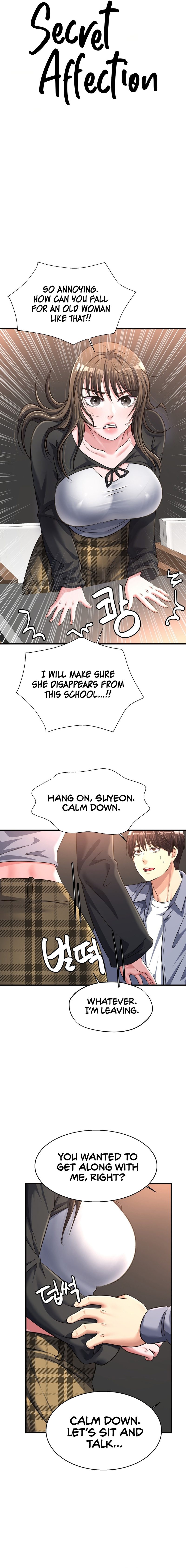 Secret Affection 2